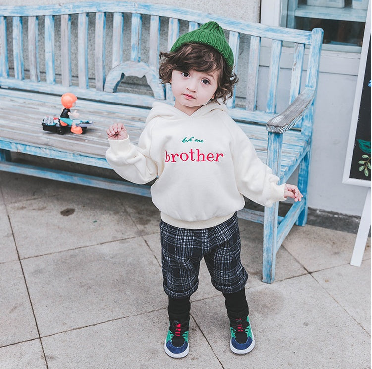Boys Plus Velvet Hooded Sweater – Thick Autumn & Winter Shirt for Babies (1-3 Years)