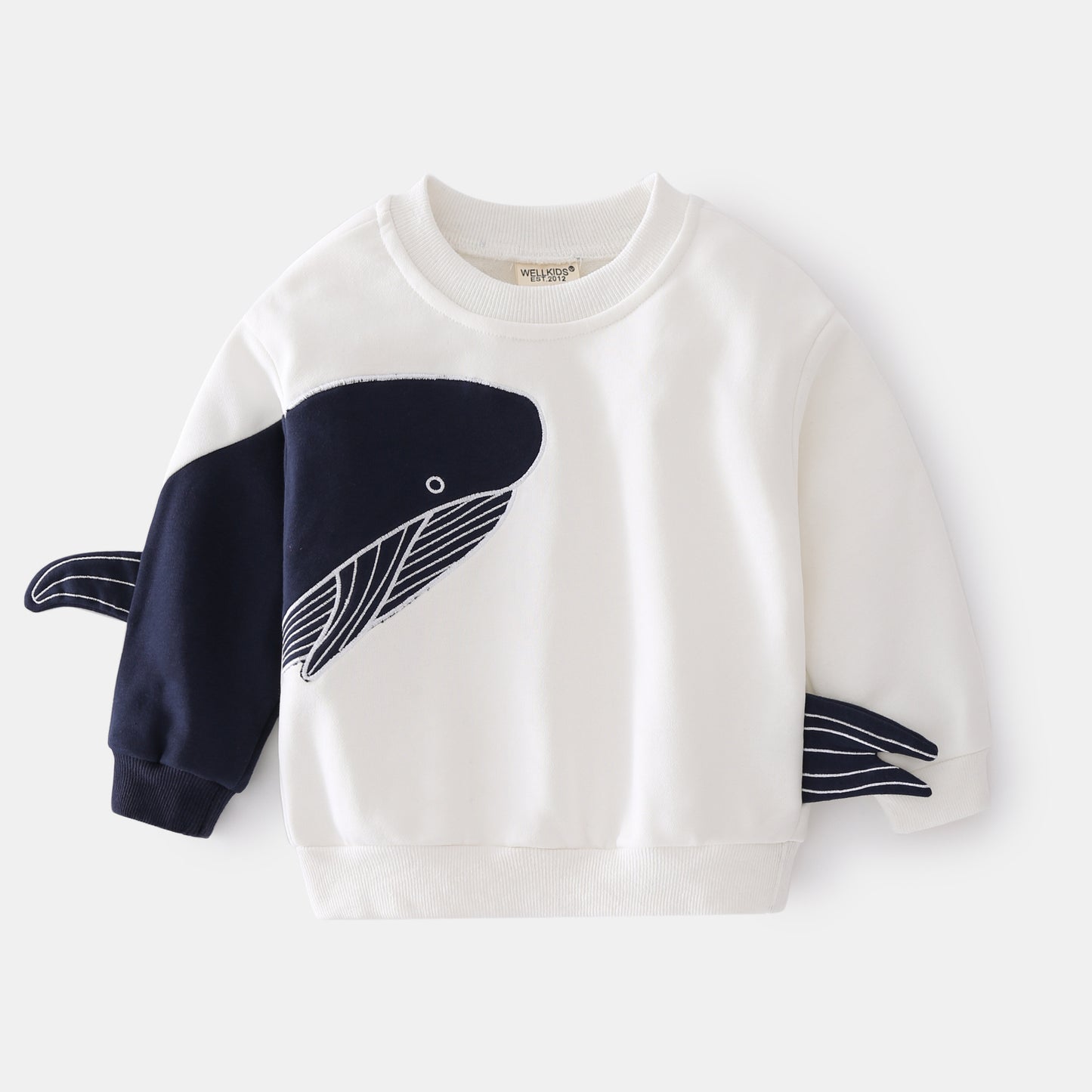 Boys' Casual Sweaters – Comfortable Knit Pullover Tops for Kids